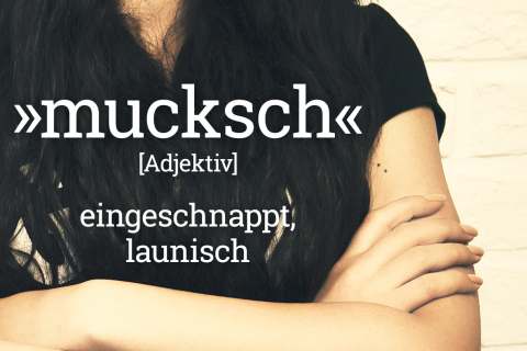 Plattdeutsches Wörterbuch: mucksch