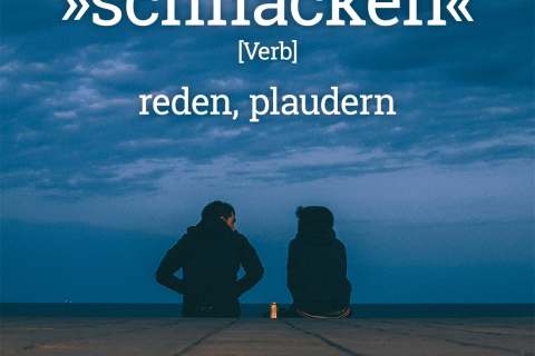 Plattdeutsches Wörterbuch: Schnacken