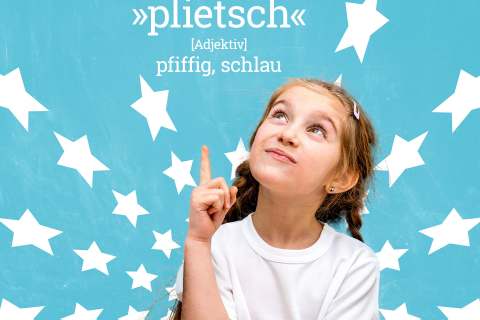 Plattdeutsches Wörterbuch: plietsch